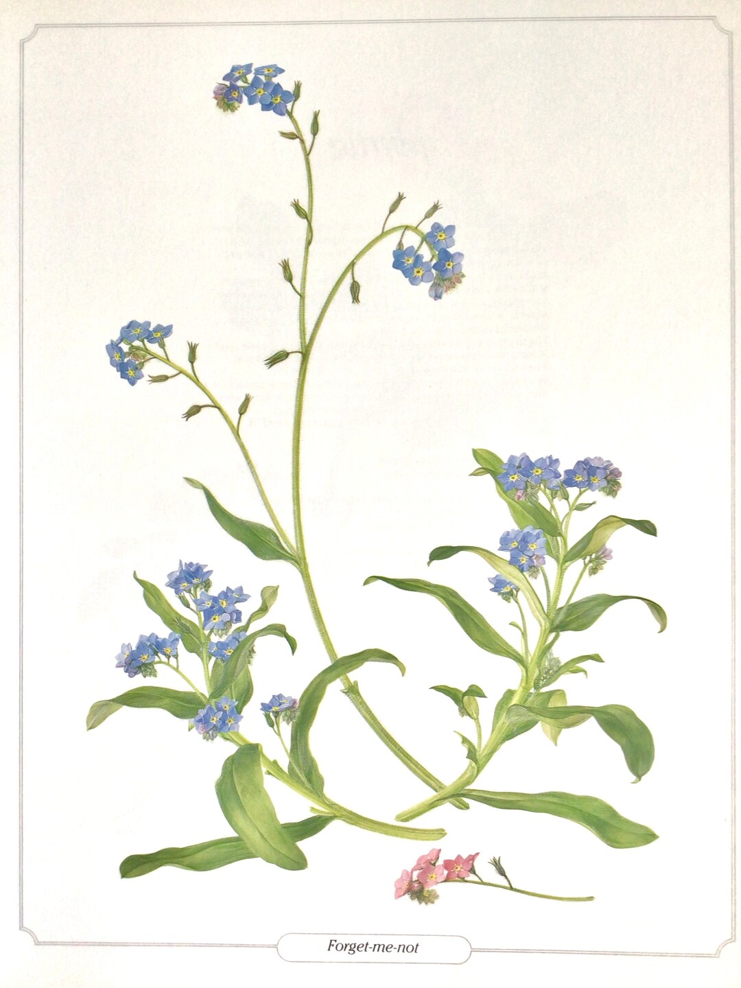 □Blue flower□Juliane Marie□額装34×28◇陶板画◇ □