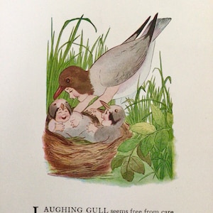 Bird Children, Gull/Swallow,  2-Sided Vintage Bookprints for Framing by Elizabeth Gordon, 1912
