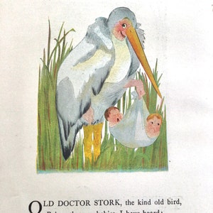 Bird Children, Stork/Turkey, 2-Sided Vintage Bookprints for Framing by Elizabeth Gordon, 1912