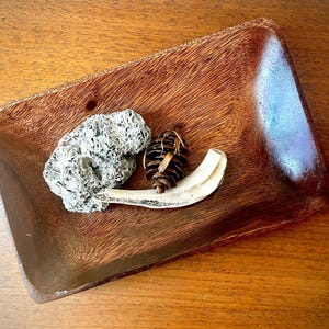 May include: A rectangular wooden tray with a visible grain pattern featuring a porous gray rock, a small brown pinecone, and a curved, smooth white bone fragment resting on its surface. The tray has rounded corners and a polished finish.