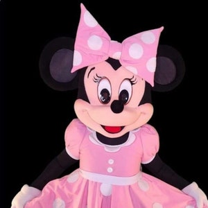 READY TO SHIP Mrs Mouse Mascot Costume