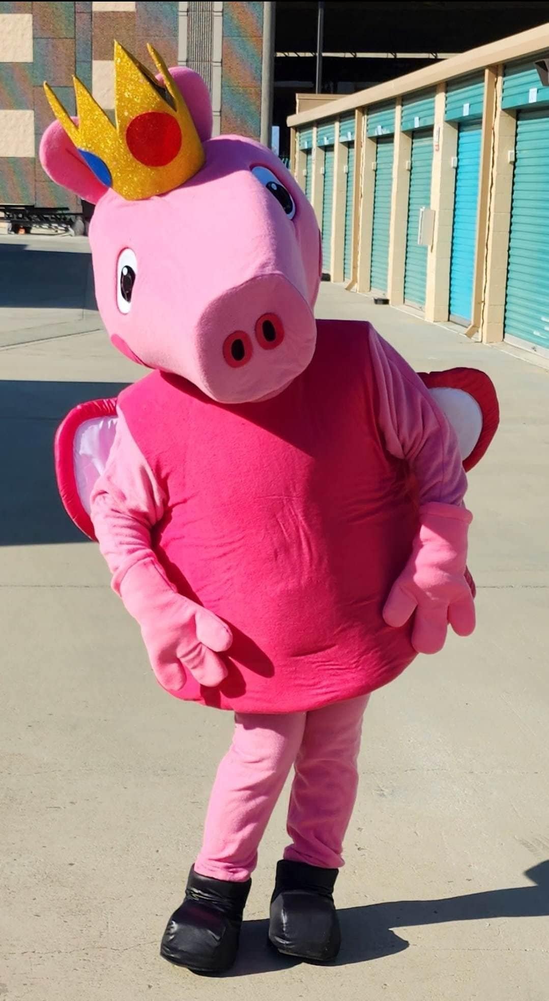 Peppa pig onesie adults hotsell