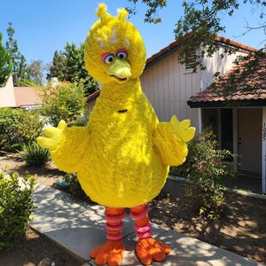 READY TO SHIP Big Bird Yellow Mascot Costume