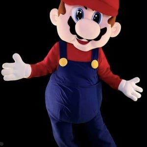 KLAAR VOOR VERZENDING Mario-mascottekostuum