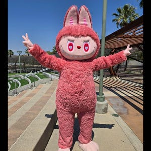 READY TO SHIP Pink Labubu Mascot Costume