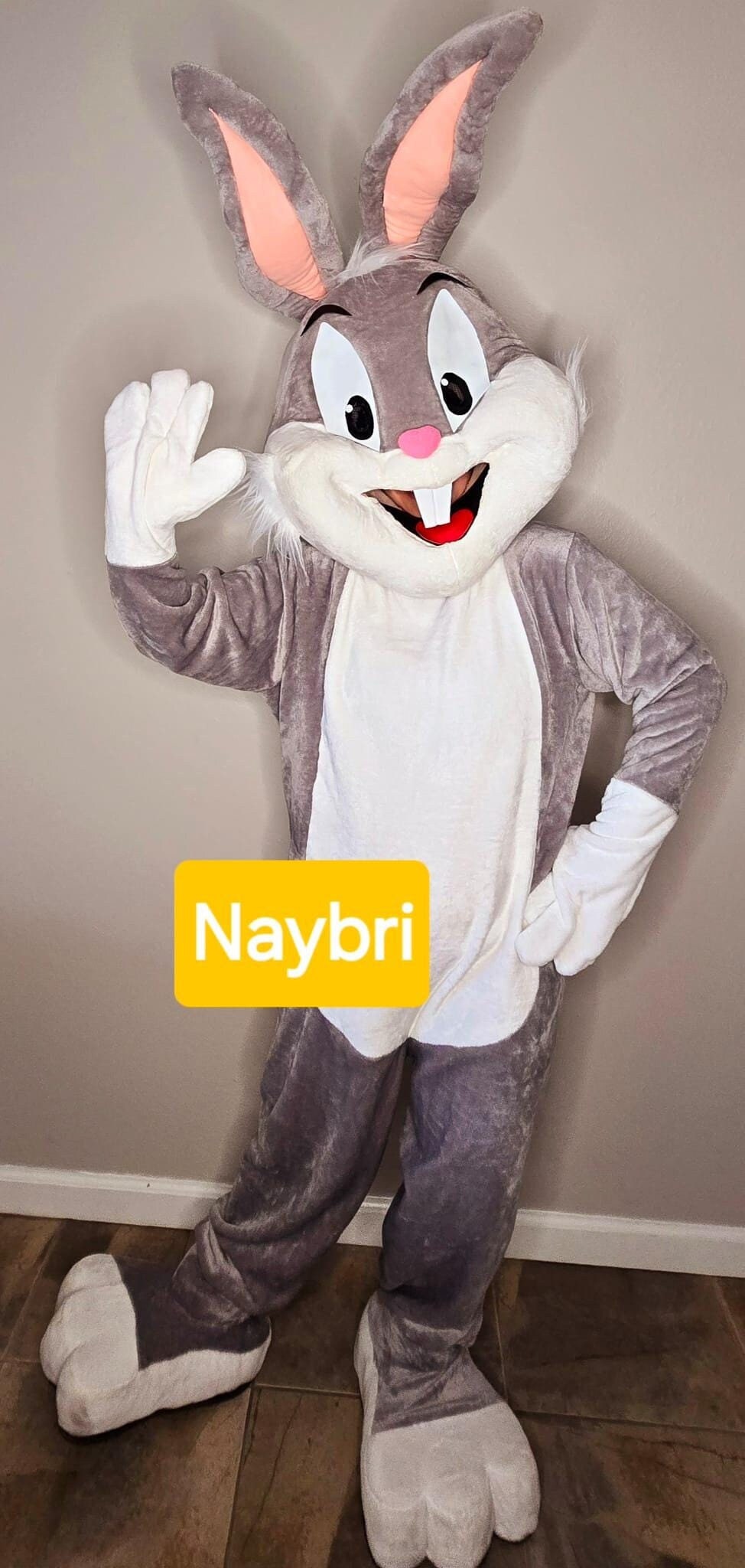 Bugs Bunny Bunny And Ducky Halloween Costume Space Jam Bugs Bunny