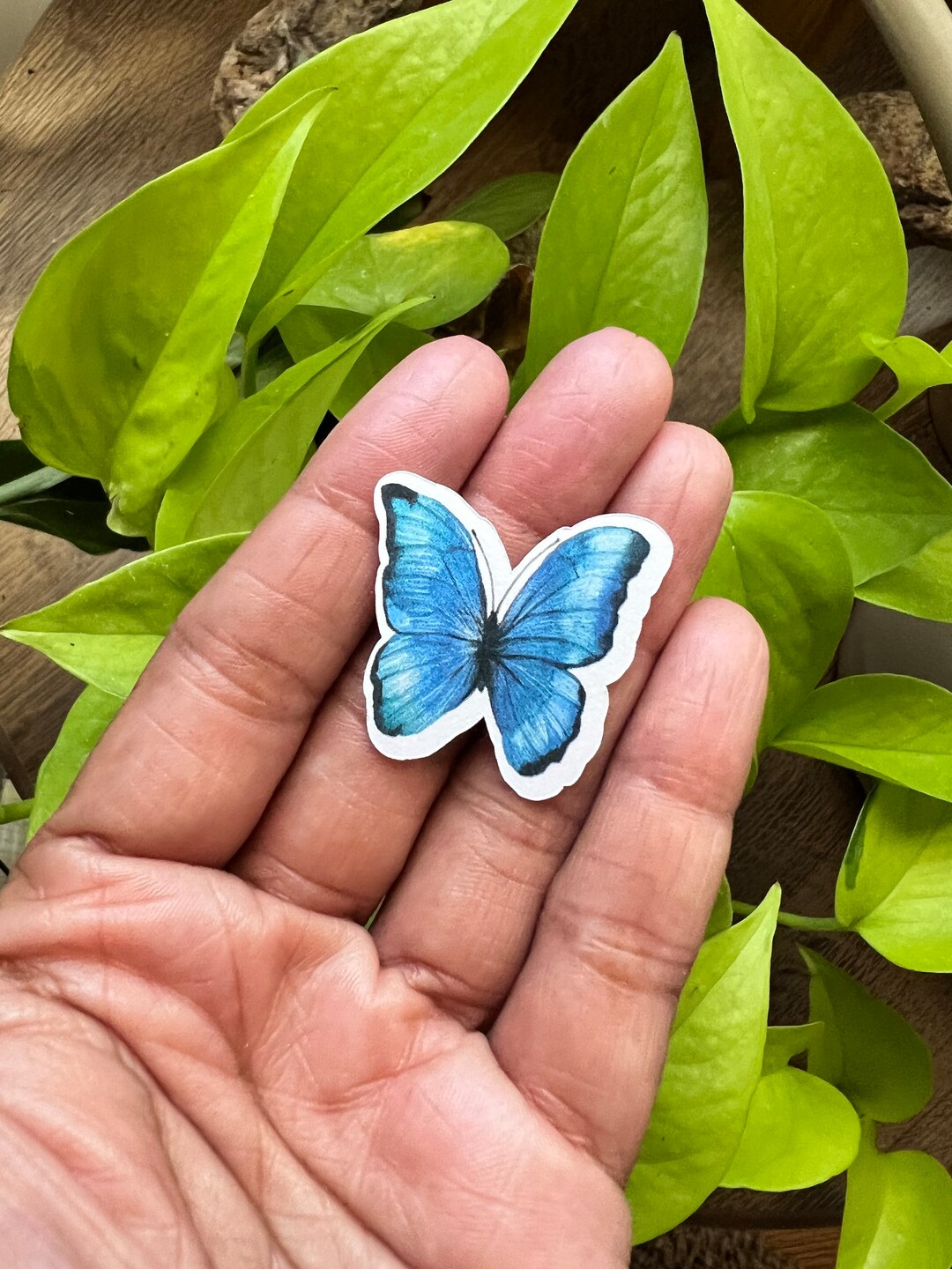 Blue Butterfly Stickers 1 Sticker Etsy