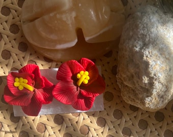 Flor de Maga-Puerto Rico’s National Flower