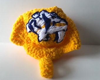 Baby predators Helmet, NHL Nashville Predators baby Shower, NHL Predators