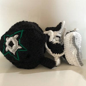 Dallas Stars helmet and ice skates, nhl skates, Dallas Stars