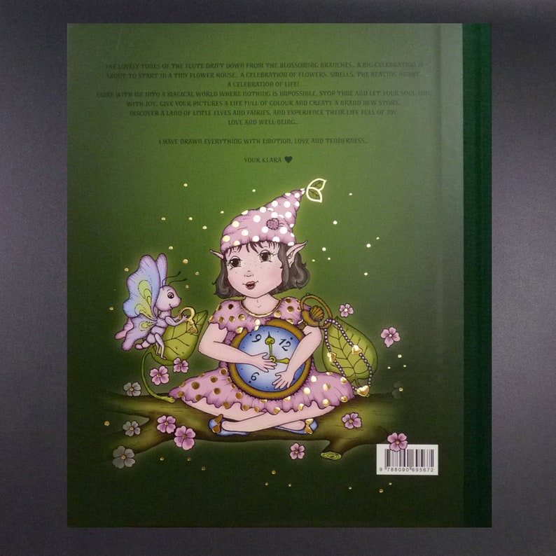 Fairy Celebrations ENGLISH Language Unique Book image 2