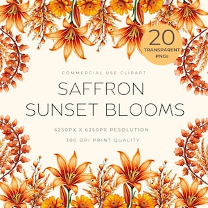 Acquerello di fiori d'arancio e zafferano al tramonto / 20 Clipart PNG trasparenti / Illustrazioni floreali dorate autunnali / Inviti di nozze
