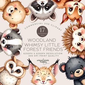Woodland Whimsy Kleine Waldfreunde 17 Clipart PNG | Niedliche Tiergesichter, Waldbewohner & Waldfreunde