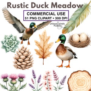 Mallard Duck Meadow PNG Clipart | Farmhouse Rustic Ducks, Feathers, Eggs, Botanicals, Acorns, Succulents | COMMERCIAL USE | Digital Download