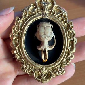 Mini Ornate Frames • Mouse Skull 6x • Wall Mountable