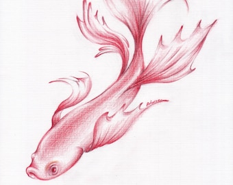 Coral Queen - Original Betta/Siamese Fighting Fish Prismacolor Pencil Drawing