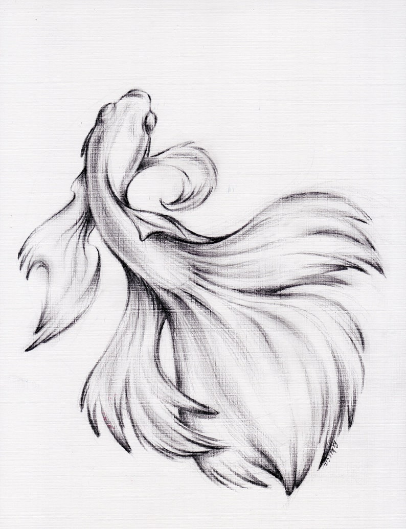 Water Dance Original Charcoal Pencil Drawing of a | Etsy