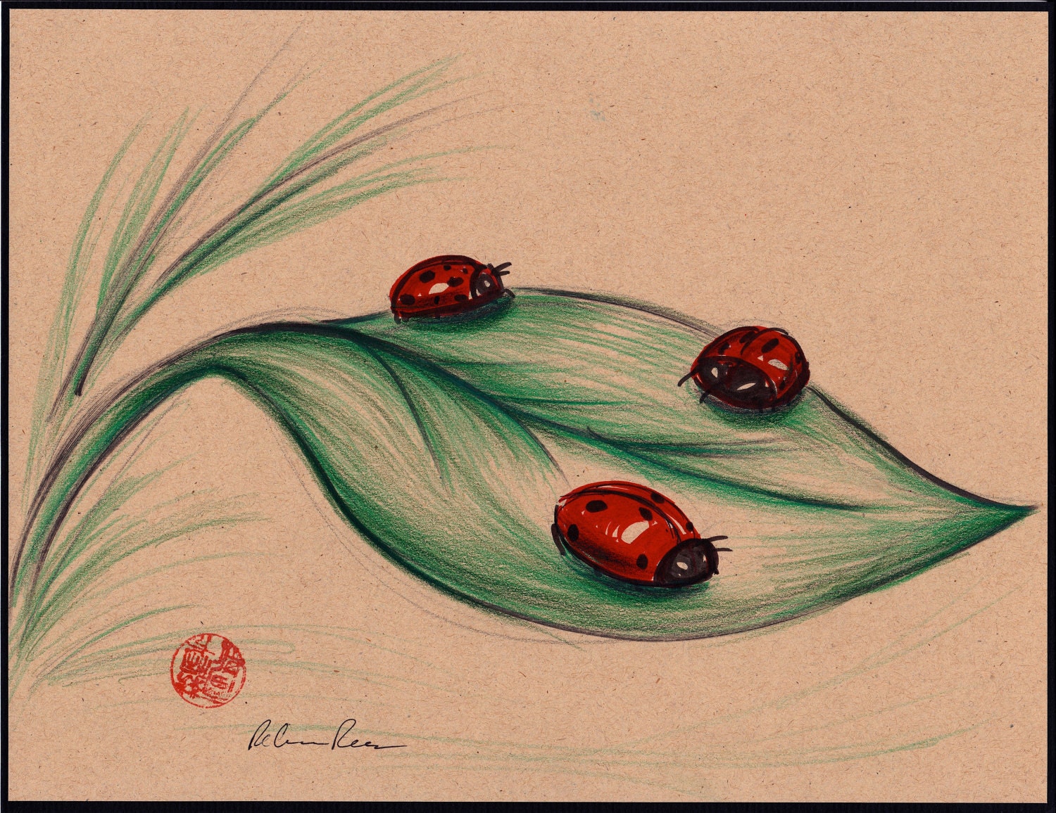 Ladybird Drawings for Sale - Fine Art America