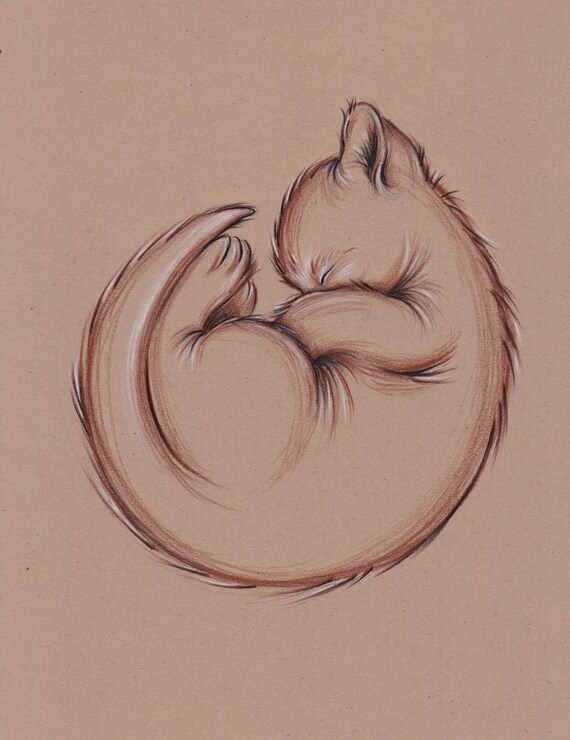 Petit Chat Endormi Dessin Au Crayon Prisma Original Dun Etsy