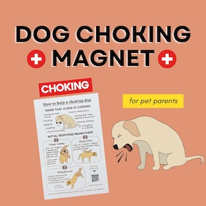 Dog Choking First Aid Magnet: Safety Maneuvers & Demo