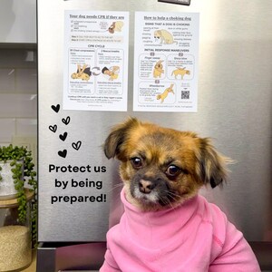 Image showcasing Dog Choking First Aid Magnet: Safety Maneuvers & Demo - Etsy