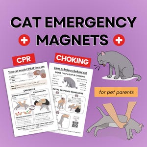 May include: Cat emergency magnets with CPR and choking instructions. The image includes diagrams and text on how to help a cat in distress. The text reads "for pet parents".