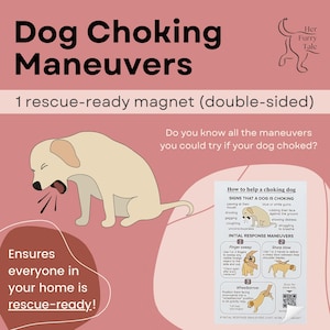 Honden verstikken, hondenveiligheid, EHBO honden, verstikkingsmanoeuvres