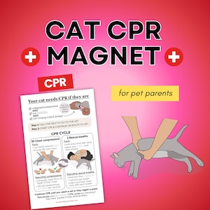 May include: A red and pink graphic with the text "CAT CPR MAGNET" and "CPR" in white. The image includes CPR instructions for cats, with illustrations and text, and the phrase "for pet parents".