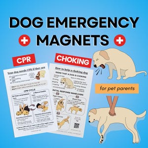 RCP para perros y maniobras de asfixia, juego de imanes, guía de emergencia