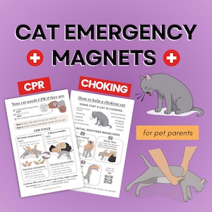 Puede incluir: Imanes de emergencia para gatos con instrucciones de RCP y asfixia para dueños de mascotas. Incluye diagramas y texto sobre cómo ayudar a un gato en apuros. Presenta una ilustración de gato gris y el texto "CAT EMERGENCY + MAGNETS".