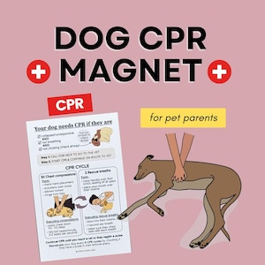 Dog CPR Magnet: First Aid Guide with Video Demo