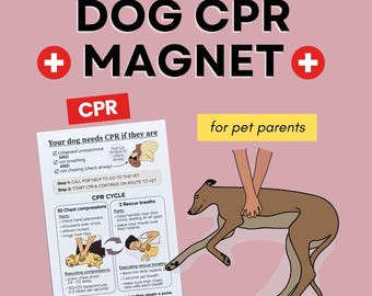 Reanimatiemagneet voor honden: EHBO-gids met videodemo