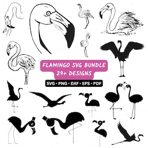 Flamingo SVG Bundle, Bird SVG, Flamingo Cut File, Flamingo Clipart, Flamingo Silhouette, Bird Cut File, Bird Clipart, Flamingo SVG