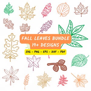 Fall Leaves Svg, Fall svg, Fall leaf svg bundle, Fall png, dxf, clipart, Cut files for Cricut, Silhouette, Halloween svg, Glowforge files