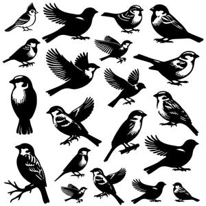 Goldfinch SVG Bundle, American Goldfinch png, American Goldfinch vector, American Goldfinch outline, Birds Silhouette Svg, BIRDS on BRANCH