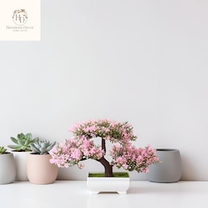May include: A small bonsai tree with pink flowers and a brown trunk in a white square pot. Other potted plants, including succulents and a grey ceramic pot, are nearby. The Havenous Decor logo is in the top left corner.