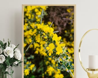 Yellow Flower Photography Print, Botanical Wall Art (Digital Download)