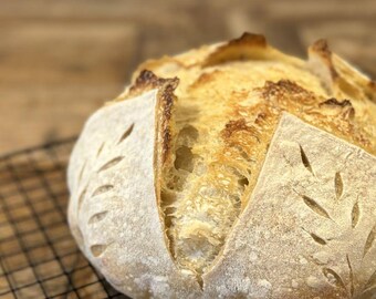 Sourdough Starter (Dried ~ Organic ~ Wheat)