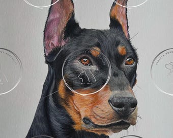 May include: A detailed portrait of a Doberman Pinscher dog. The artwork features the dog's black and tan fur, brown eyes, and erect ears. The image includes the text "REBECCA HOUSE PET PORTRAITS EST. 2020" in a circular design.