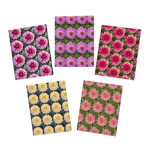 Biglietti di auguri multi-design con fiori di dalia (confezione da 5)