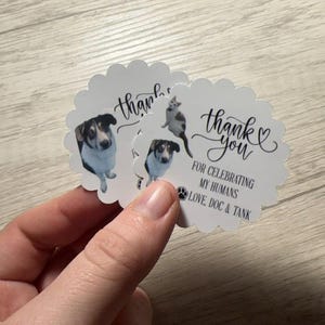 Custom Dog Wedding Favor Stickers, Custom Cat Personalized Pet Photo Wedding Favor Label, Dog Treat Bag Thank You For Celebrating Stickers