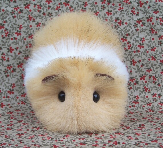 cuddly toy guinea pig
