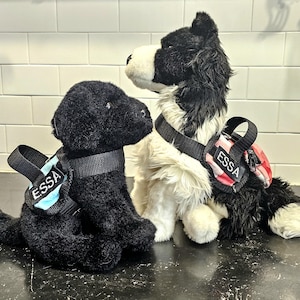 May include: Two plush dog toys wearing black nylon harnesses with the name ESSA printed in white. The smaller toy is solid black, while the larger toy is black and white with a red and white checkered backpack attached to its harness.