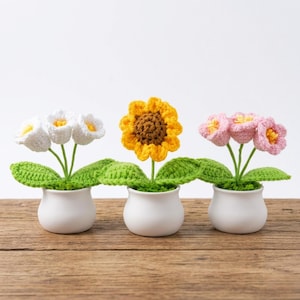 Vatertagsgeschenk Papa, Häkelblume im Topf, handgemachtes kleines Geschenk für Papa, Glücksbringer, Schreibtisch Deko, personalisiert
