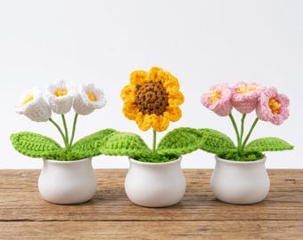 Crochet Flower Plant for Dad, Father’s Day Gift, Handmade Mini Plant, Personalized Message Gift, Good Luck Gift, Desk Decor