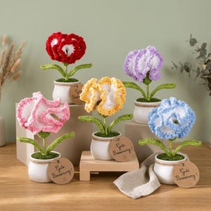 Könnte beinhalten: Fünf gehäkelte Blumen in kleinen weißen Keramiktöpfen. Die Blumen sind rot, rosa, gelb, lila und blau, jeweils mit weißer Mitte und grünem Stiel. Jeder Topf hat ein rundes braunes Etikett mit dem handgeschriebenen Text Gute Besserung.