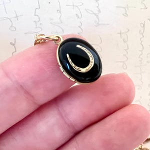 May include: A gold-toned pendant necklace featuring a black oval-shaped charm with a gold horseshoe design. The pendant is held by a hand, showcasing the jewelry's details against a soft background.