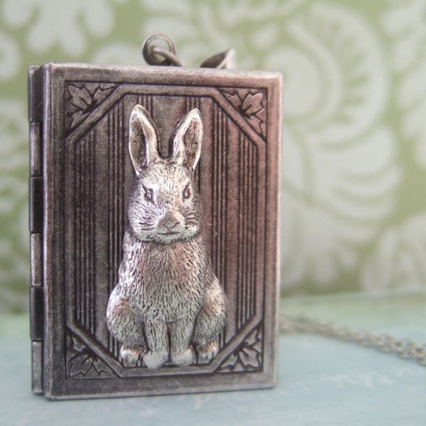 L'histoire de Pierre Lapin, collier en argent style livre lapin