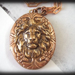 THE BRAVE ONE, vintage 70s copper locket necklace