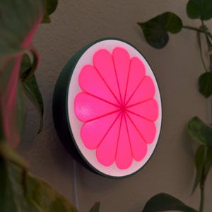 May include: A circular wall-mounted light fitting featuring a vibrant neon pink flower-shaped centre with twelve rounded petals. The light is encased in a dark green frame with a white circular border surrounding the glowing pink floral design.